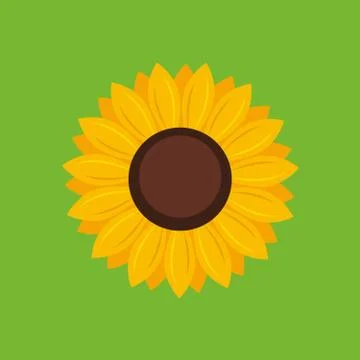 Sunflower icon - Vector Stock Illustration