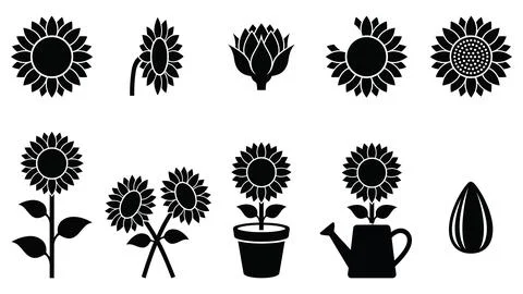 Sunflower icons set with floral elements and gardening tools in vector. Stock Illustration