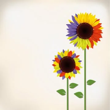 Sunflower Stock Illustration