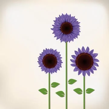 Sunflower Stock Illustration