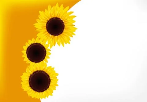 Sunflower Illustrazione stock