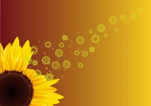 Sunflower Stock Illustration