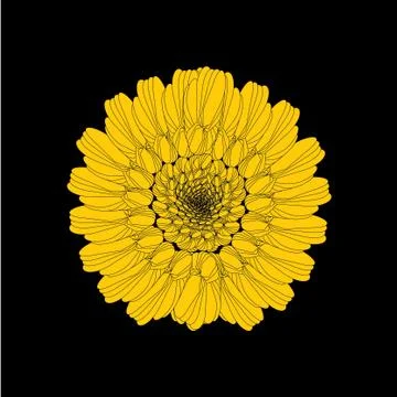 Sunflower Stock Illustration