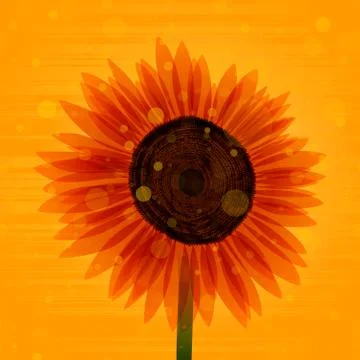 Sunflower Stock Illustration