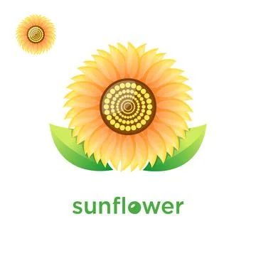 Sunflower Stock Illustration