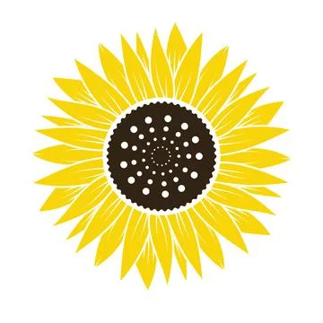 Sunflower Stock Illustration