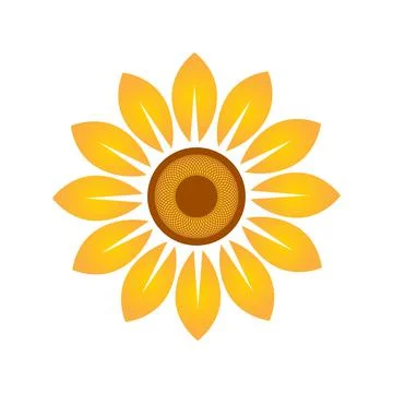 Sunflower Stock Illustration