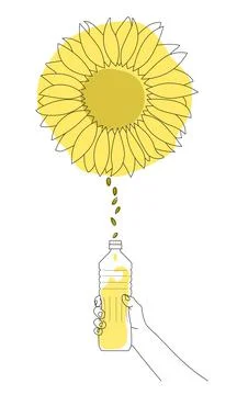 Sunflower Illustrazione stock