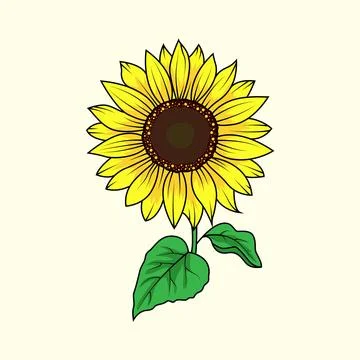 Sunflower Stock Illustration