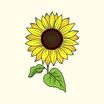 Sunflower Stock Illustration