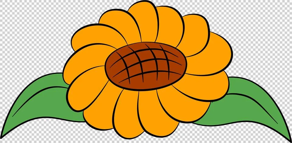 Sunflower Stock-Illustration