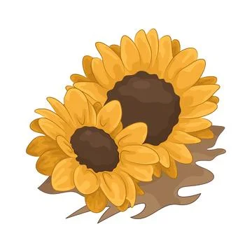 Sunflower Illustration Stock Illustration