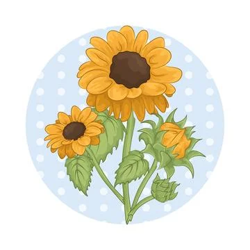 Sunflower Illustration Stock Illustration