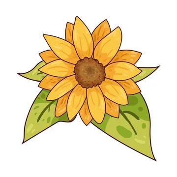 Sunflower illustration Stock Illustration