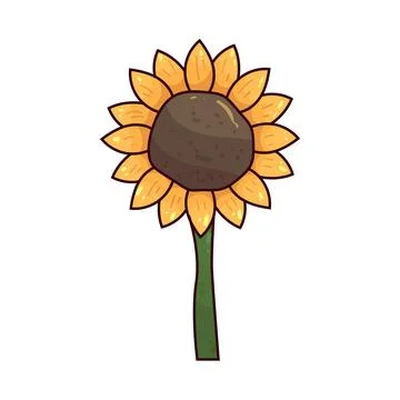 Sunflower  illustration Stock Illustration