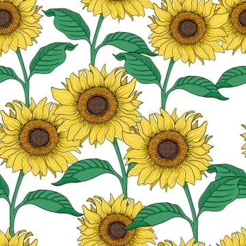 Sunflower illustration seamless repeat pattern. fashion, home decor print patter 스톡 일러스트
