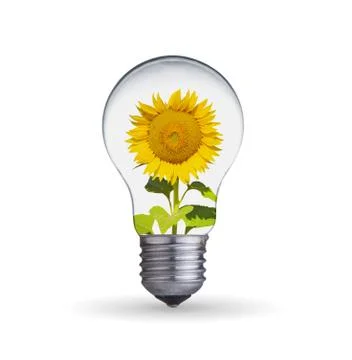 Sunflower inside in light bulb Stock Illustration
