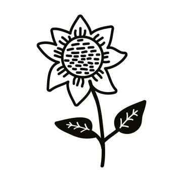 Sunflower isolated flower Stock Illustration