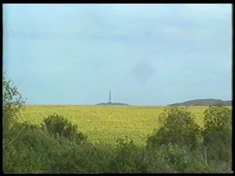 Sunflower Landscape Stock Footage 344382390