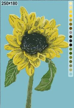 Sunflower large multicolor pattern for cross-stitch Stock Illustration