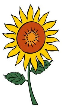 Sunflower Logo Vector illustration Stock Illustration