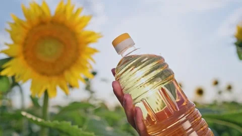 Sunflower oil bottle held by hand over sunflower field,  food production Video stock 344848416