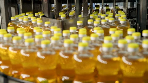 Sunflower oil in the bottle moving on production line. Video stock 243767853
