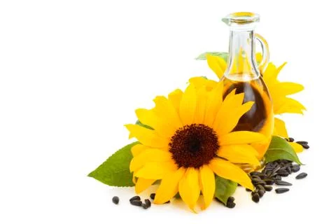 Sunflower oil. Stock Photos