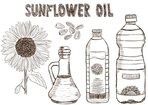 Sunflower oils doodle Stock Illustration