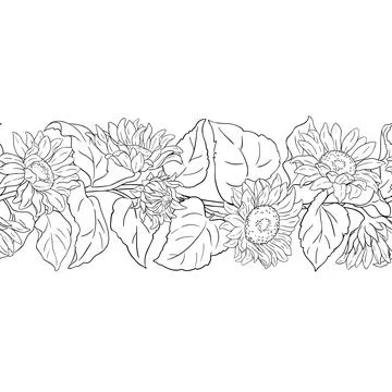 Sunflower Outline Horizontal Seamless Pattern. Illustrazione stock