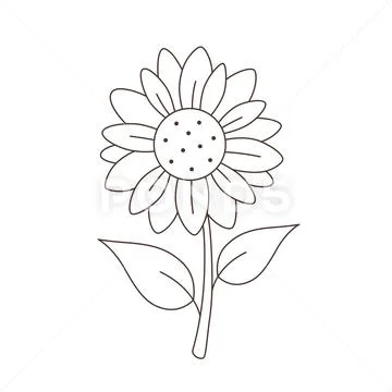 Sunflower Outline Vector Art, Icons, and Graphics for Free Download