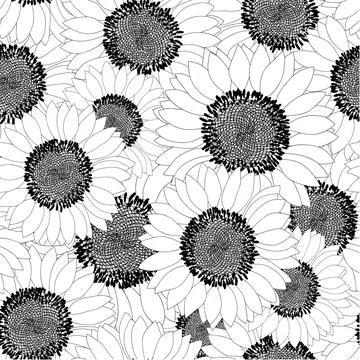 Sunflower Outline Seamless Background Stock Illustration