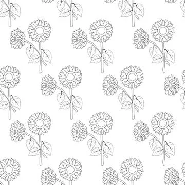 Sunflower outline seamless pattern Illustrazione stock