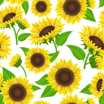 Sunflower pattern Stock Illustration