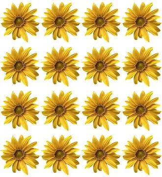 Sunflower pattern Stock Photos