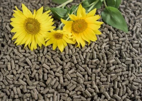 Sunflower pellets - biomass Stock Photos