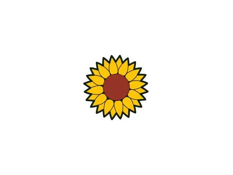 Sunflower petal animation Stock Footage 332213172