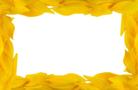 Sunflower petals frame Stock Photos