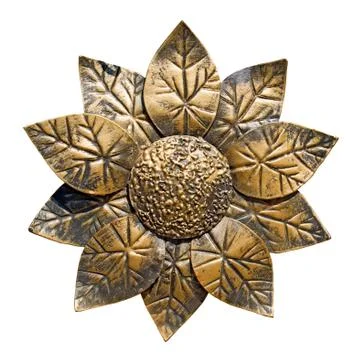 Sunflower. Stock Photos