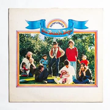 Sunflower Stock Photos