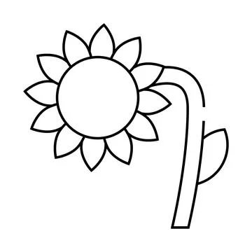 Sunflower plant line icon vector symbol illustration 스톡 일러스트