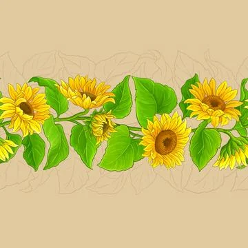 Sunflower plant vector pattern on color background Stock Illustration