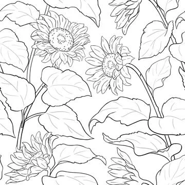 Sunflower plant vector pattern on white background Stock Illustration