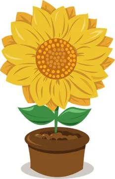 Sunflower in a pot Stock Illustration