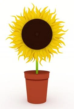 Sunflower in pot Illustrazione stock