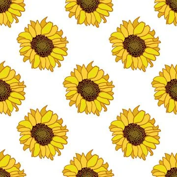 Sunflower repeat pattern design illustration Stock Illustration