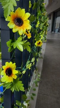 Sunflower Replica Stock Photos