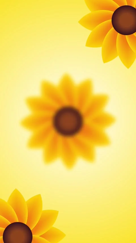 Sunflower rotation animation Stock Footage 337161370