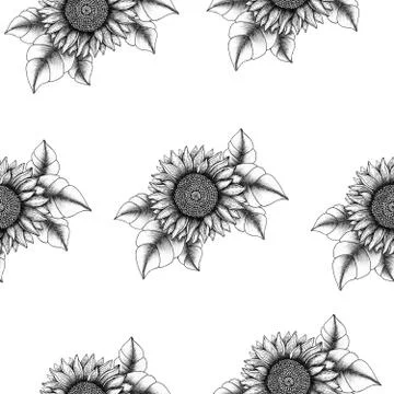 Sunflower seamless background Stock Illustration