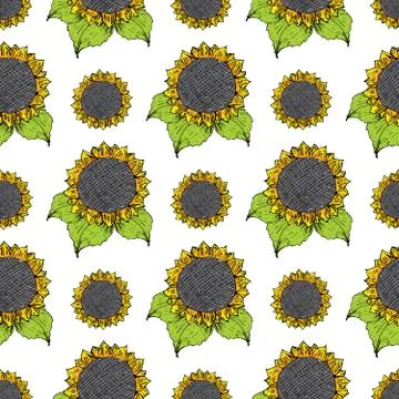 Sunflower seamless pattern hand drawn sketch, background, typography design v Illustrazione stock
